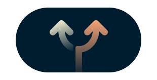 TrustedServer technology lozenge visual
